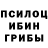 Псилоцибиновые грибы мицелий Djmixfoo