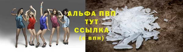 ПСИЛОЦИБИНОВЫЕ ГРИБЫ Балабаново