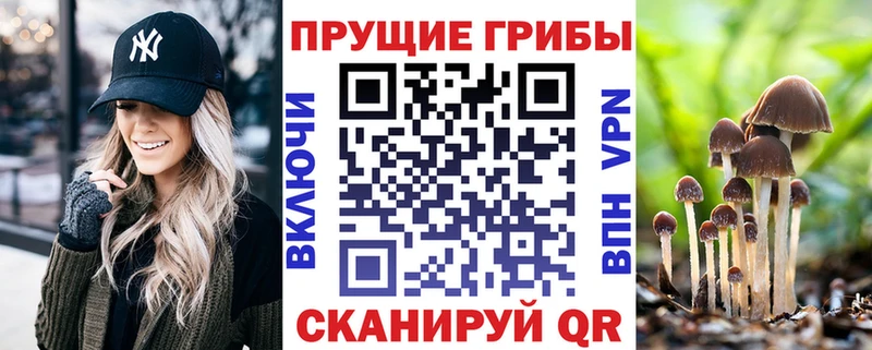 Галлюциногенные грибы GOLDEN TEACHER  хочу наркоту  Купино 